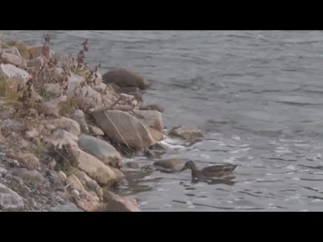 Historic water deal struck on Colorado's Western Slope