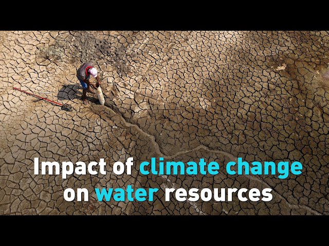 Impact of climate change on water resources