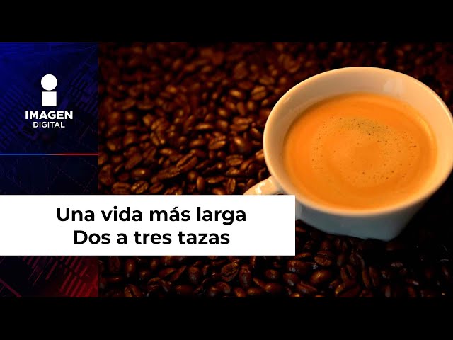 Dos a tres tazas de café al día, el secreto para una vida más larga