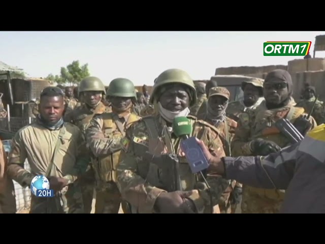 FAMa | Visite de terrain du commandant du secteur 5 de l'opération " Maliko" à  Farab