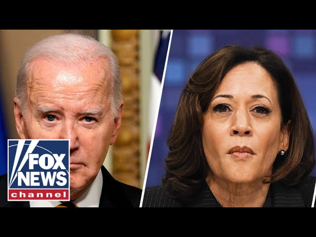 Biden, Harris 'solely responsible' for lives lost from border chaos: Stephen Miller