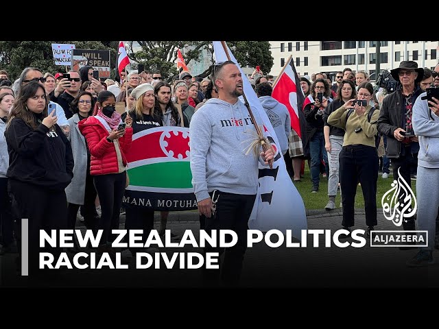 New Zealand politics: Protests planned against 'racial divide'