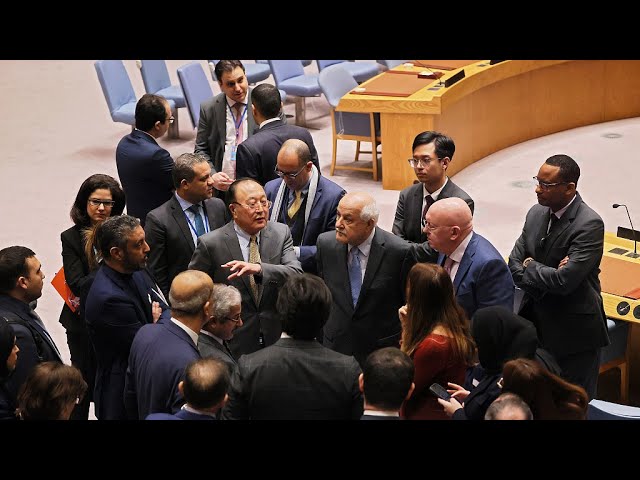 Le Conseil de sécurité de l'ONU reporte de nouveau le vote sur une résolution cruciale