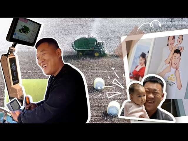 Explore a day in the life of a cotton farmer in Xinjiang