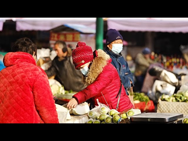 GLOBALink | Ensuring vegetable supplies and stable prices amid cold waves in China