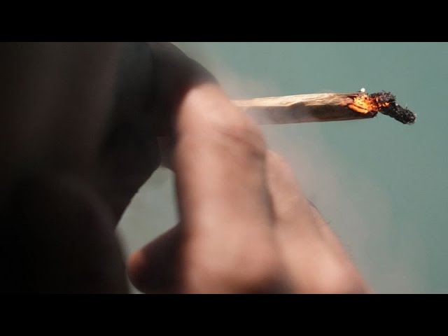 UCRANIA | El Parlamento propone una ley para legalizar la marihuana medicinal