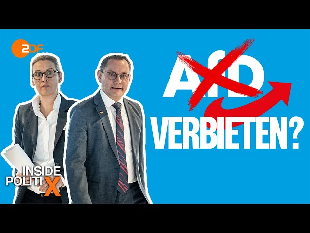 Was ein AfD-Verbotsverfahren bringen würde  | Inside PolitiX