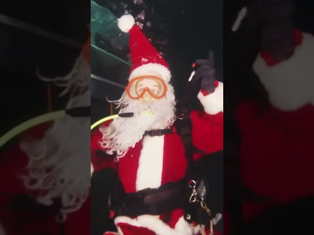 Santa visits sea creatures on his 'nice' list #Shorts