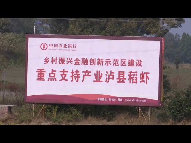 Rural financing empowers farmers in Luxian in China's Sichuan