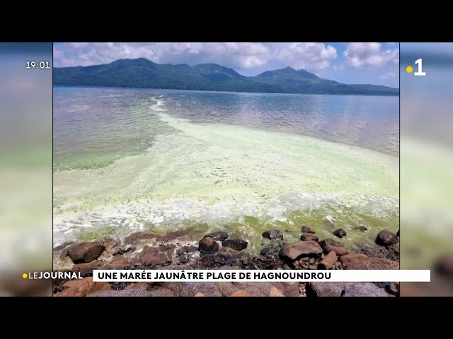 Une marrée jaunâtre plage de Hagnoundrou