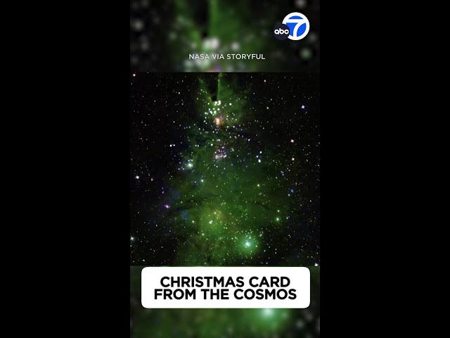 NASA telescope illuminates ‘Christmas tree cluster’