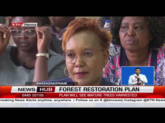 KFS proposes forest restoration plan