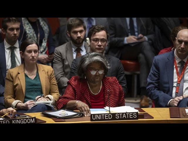 El Consejo de Seguridad de la ONU acuerda impulsar el envío de ayuda humanitaria a Gaza