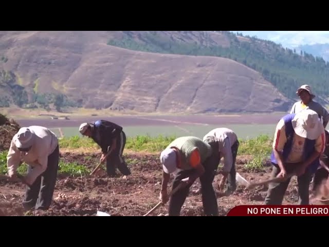 Gremios agricultores envían comunicado sobre modificación de la Ley Forestal