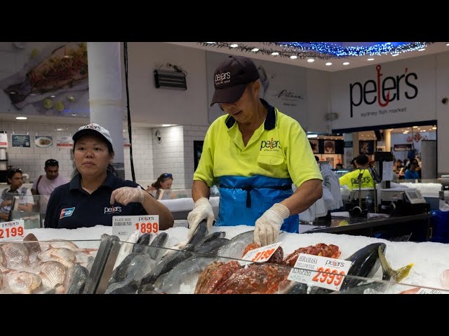 Sydney Fish Market begins seafood marathon