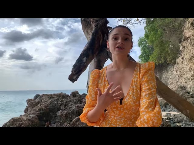 Rising Barbadian star breaking into movie market