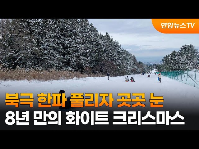 북극 한파 풀리자 곳곳 눈…8년 만의 화이트 크리스마스 / 연합뉴스TV (YonhapnewsTV)