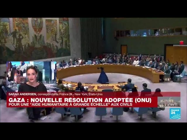 Gaza : le Conseil de sécurité de l'ONU exige une aide "à grande échelle" • FRANCE 24