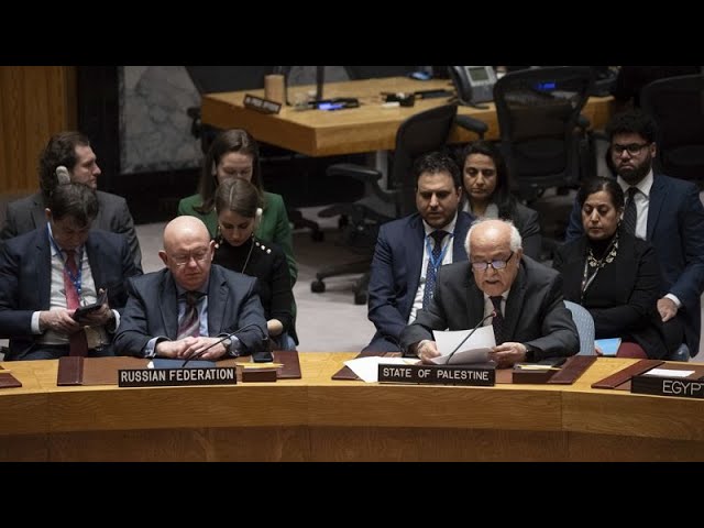 The UN Security Council adopts a watered down version of resolution