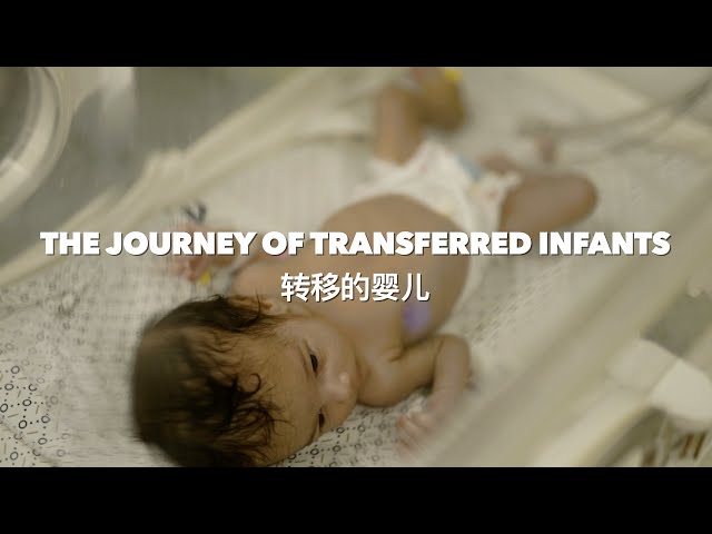 The journey of transferred infants from Gaza