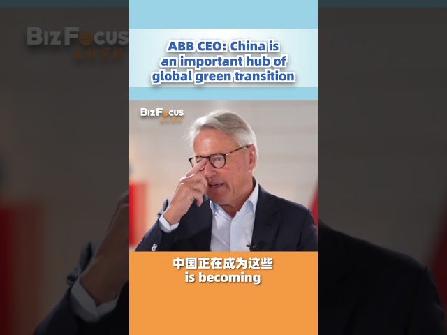 ABB CEO: China important hub for green transition