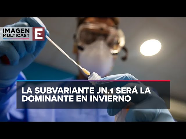 ¿Qué tan peligrosa es Pirola, la nueva variante de covid?