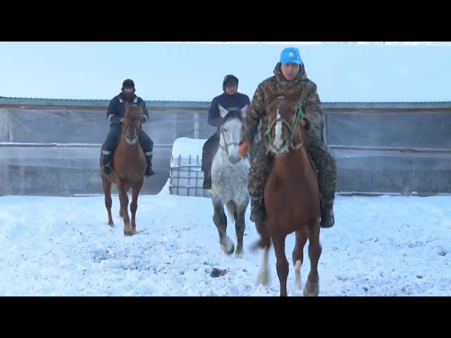 Жамбылские кокпаристы – 13-кратные чемпионы Казахстана