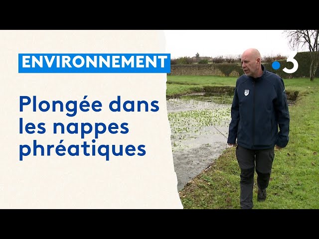 Environnement : plongée dans les nappes phréatiques