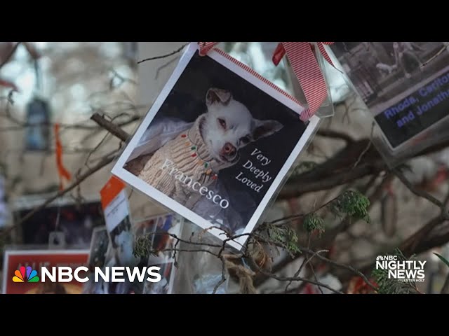 The story behind Central Park’s Pet Memorial Christmas tree