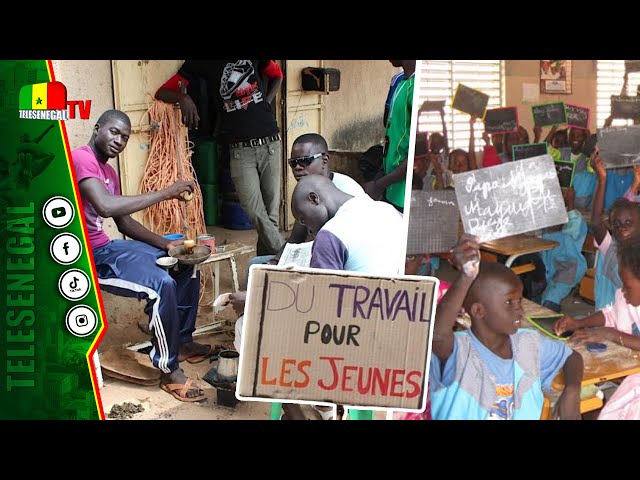 Problème Chômage au Sénégal, Le système éducatif pointé du doigt.....