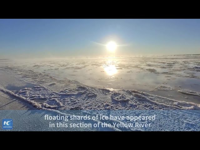 Flowing ice elegantly sprawls across Yellow River in Inner Mongolia, north China