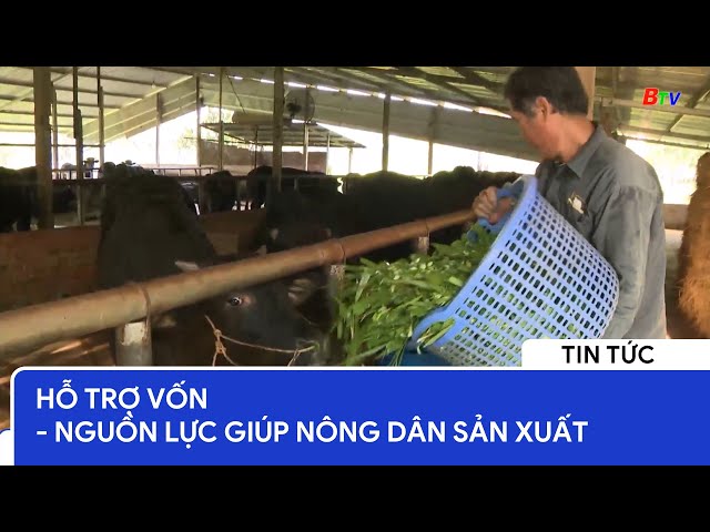 Hỗ trợ vốn - Nguồn lực giúp nông dân sản xuất