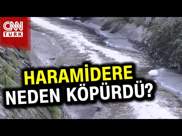 Esenyurt'ta Köpüren Dere Tedirgin Etti! #Haber