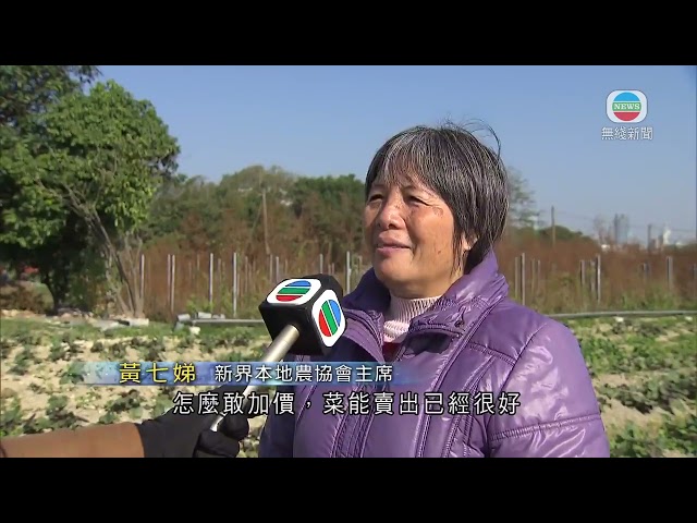 香港新聞｜無綫新聞｜24/12/23 要聞｜ 上水部分地方輕微結霜 有菜農指連日低溫推遲農作物收成影響收入 ｜TVB News