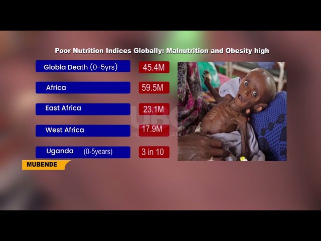 Proper nutrition for a healthy life -Malnutrition & obesity on the rise, threatens the labor for