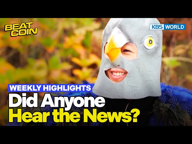 [Weekly Highlights] I Think Jinkyung's Trying to Say Something [Beat Coin] | KBS WORLD TV 23121