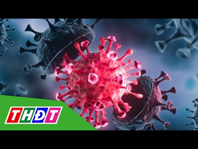 Ghi nhận biến thể JN.1 của virus SARS-CoV-2 gia tăng | THDT