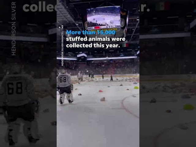 Fans help kids in need with stuffed animal toss at ice hockey game #shorts