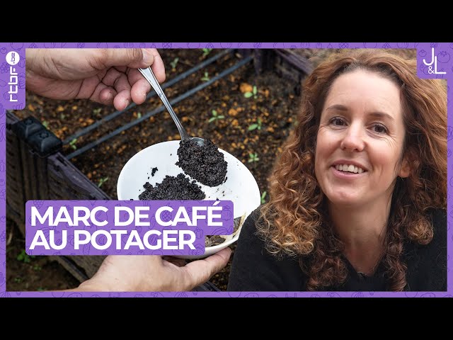 Marc de café au potager : un engrais naturel | Jardins et Loisirs