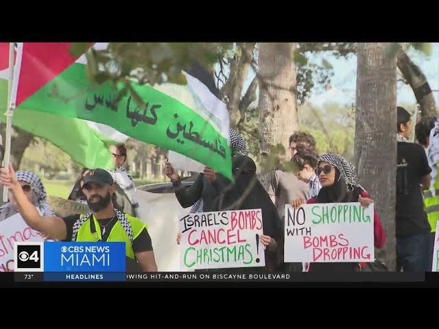 Pro-Palestinian protesters demonstrate in front of Sawgrass Mills Mall in Sunrise