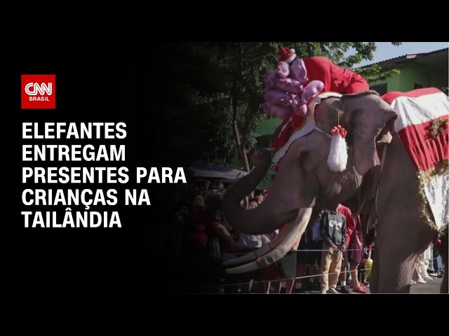 Elefantes entregam presentes para crianças na Tailândia | AGORA CNN