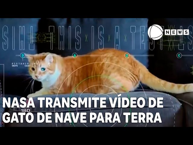 Nasa usa laser para transmitir vídeo de gato para a Terra