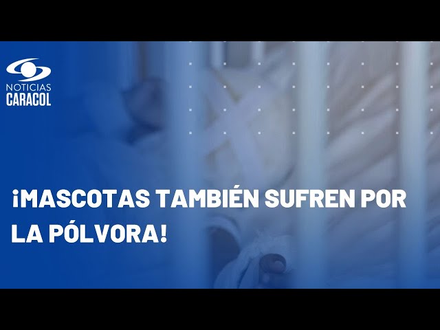 Van 450 colombianos quemados con pólvora: un drama que se repite cada diciembre