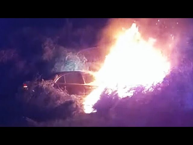 Dramatic video shows police rescue man from burning vehicle seconds before it's engulfed in fla