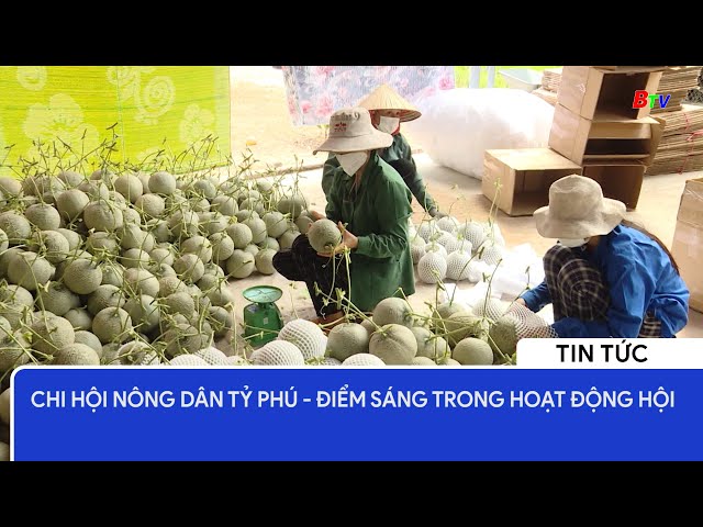 Chi hội Nông dân tỷ phú - điểm sáng trong hoạt động hội