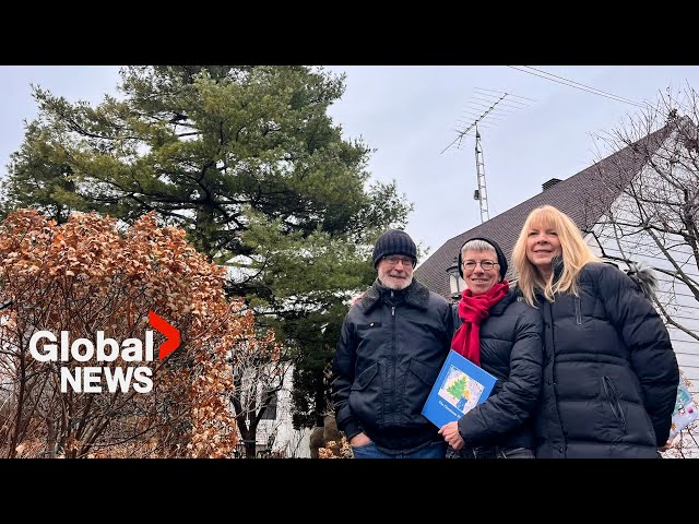 Montreal community Christmas tree tradition brought back to life in children’s book