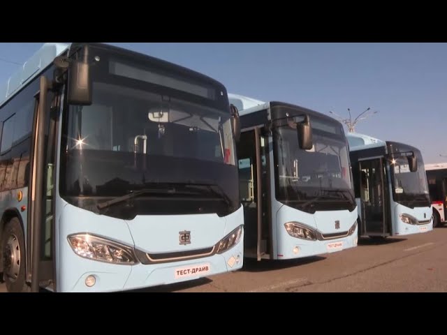 ⁣Ключи от 35 новых автобусов вручили водителям в Таразе
