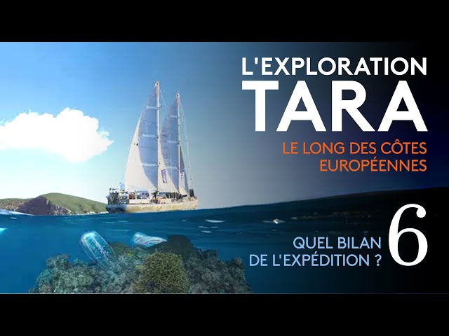 "L'exploration Tara : le long des côtes européennes" (6/6) : quel bilan de l'exp