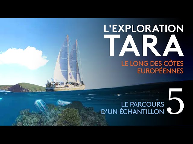 "L'exploration Tara : le long des côtes européennes" (5/6) : le parcours d'un éc