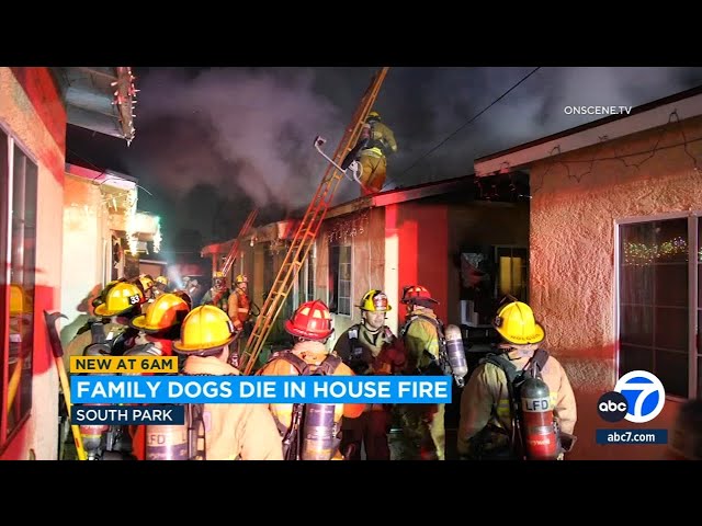 South Park family's 2 dogs killed in early morning house fire on Christmas